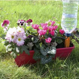 arrosage jardinière 3 goutteurs Iriso