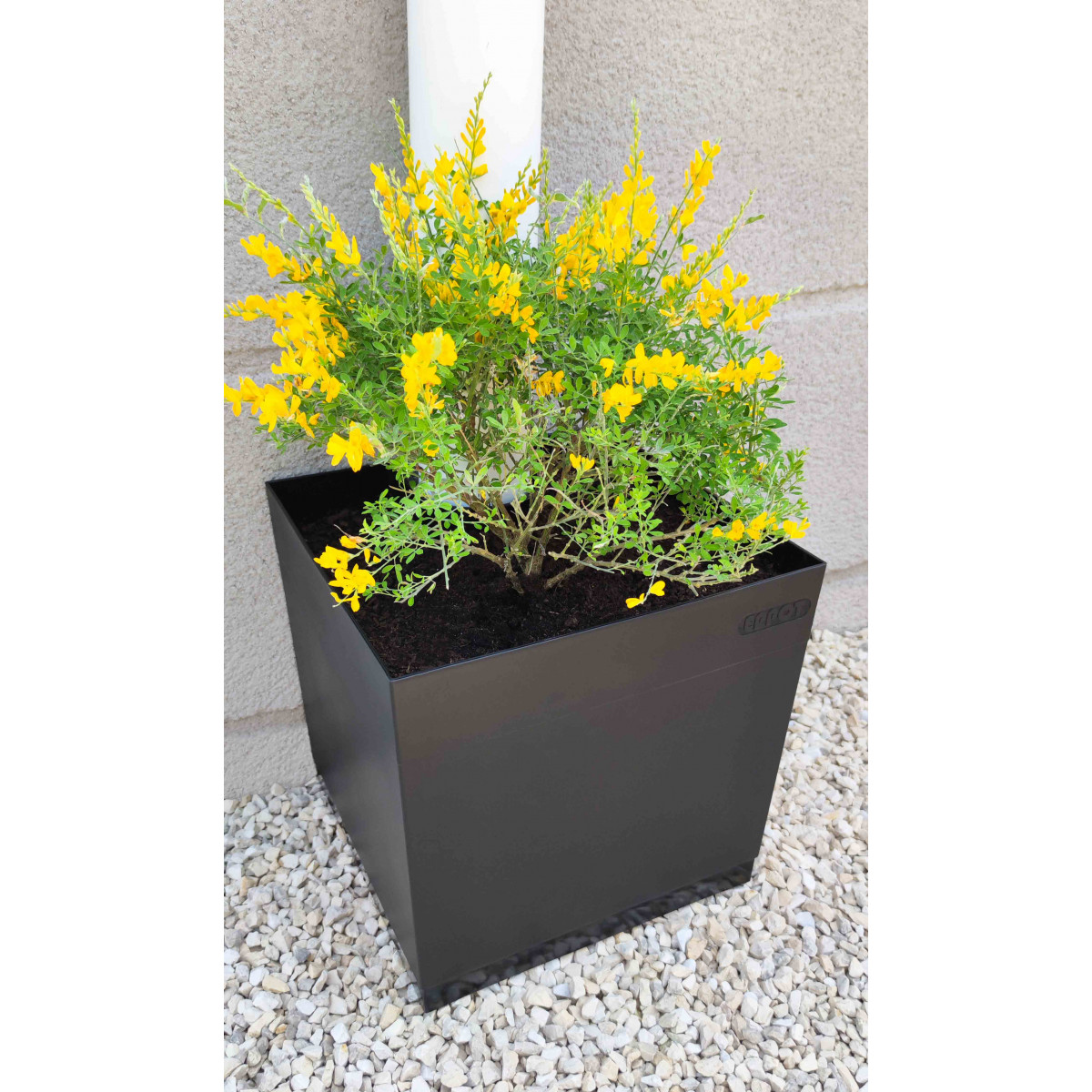 Vert - Pot de fleur en plastique pour plantes d'intérieur et d'extérieur,  Jardinières de panier, Porte-plante