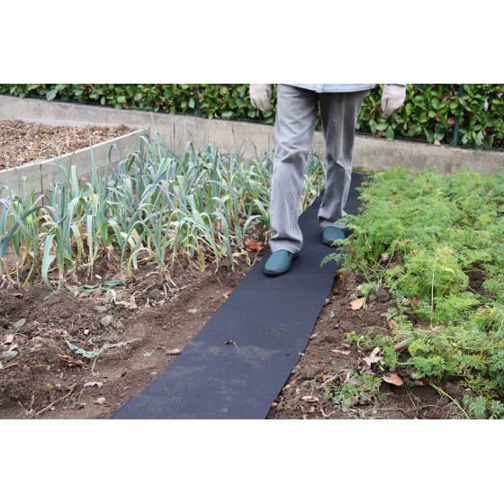 Feutre pour allée de potager