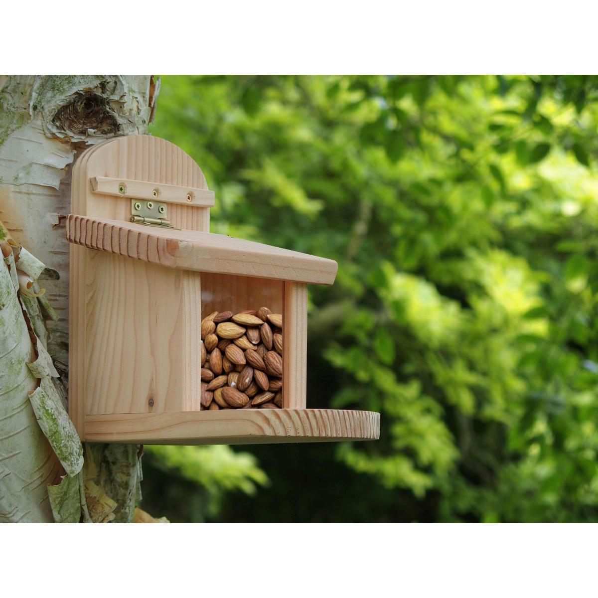 Boîte pour mangeoires pour écureuils, porte-graines en bois pour écureuils  Mangeoires pour écureuils faites à la main Mangeoire pour écureuils pour l' extérieur -  France
