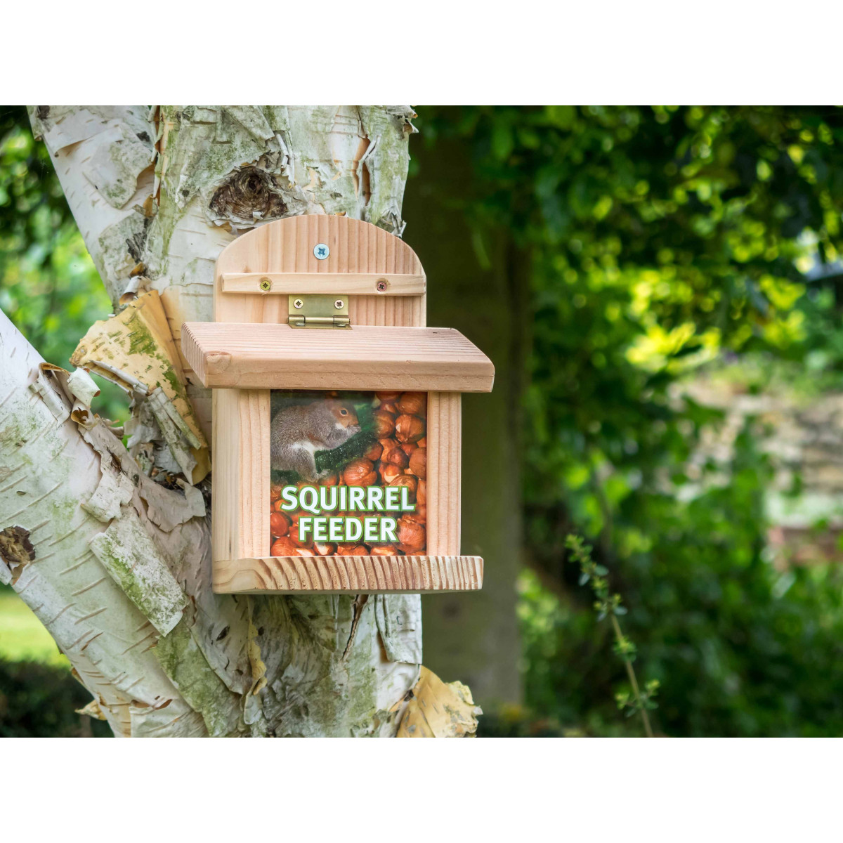 Décoration écureuil pour accrocher de la nourriture pour oiseaux dans un  arbre ou une