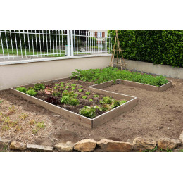 Planter vos tomates pour un résultat 100 % BIO avec Jardin et Saisons