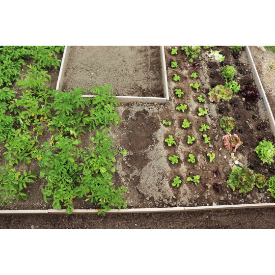 jardin potager en kit pour culture 8,3 m²