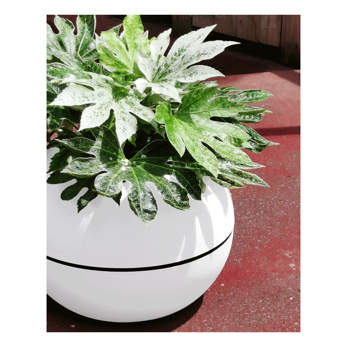 Pot de fleurs en plastique : les astuces et idées pour le décorer