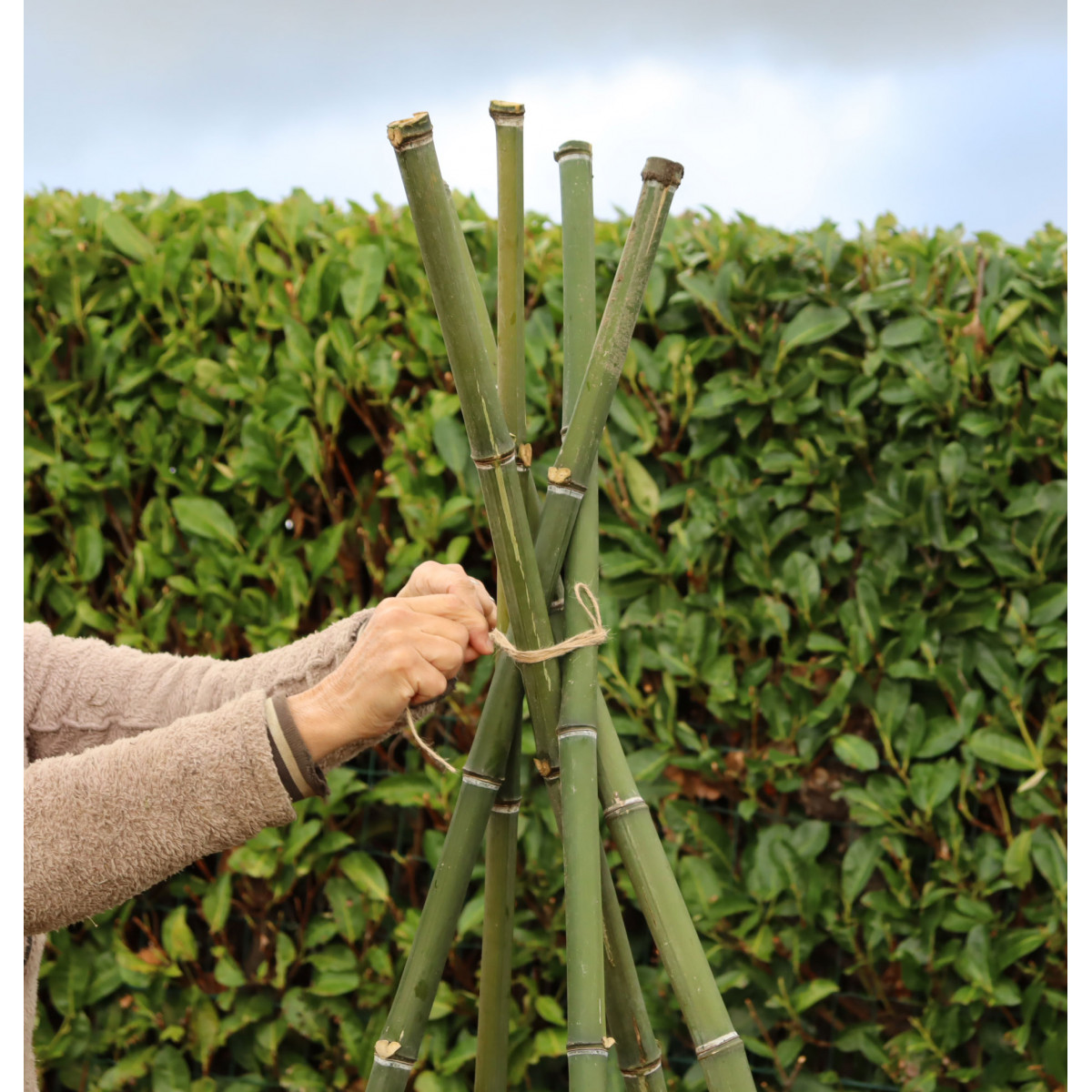 Tuteur en bambou naturel - Jardin et Saisons