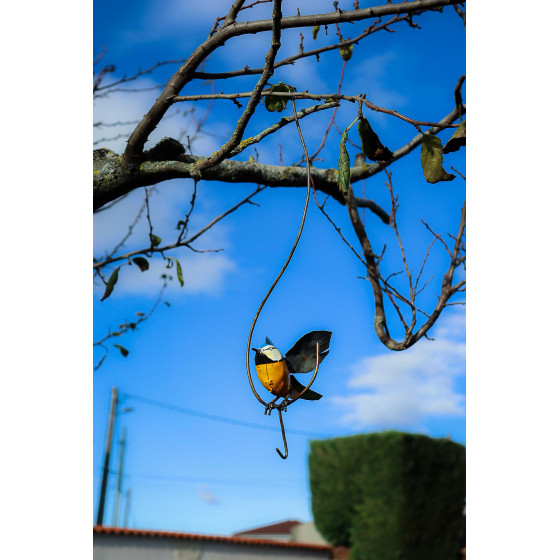 suspension oiseaux à suspendre dans un arbre