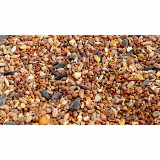 Station De Nourrissage Pour Oiseaux Yosager - Kit Avec Mangeoires, Bain, 195 Cm, Support Métal