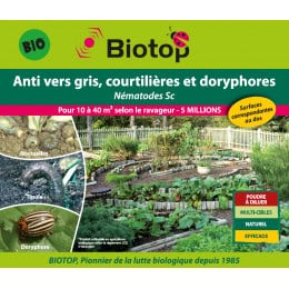 nématodes contre les doryphores