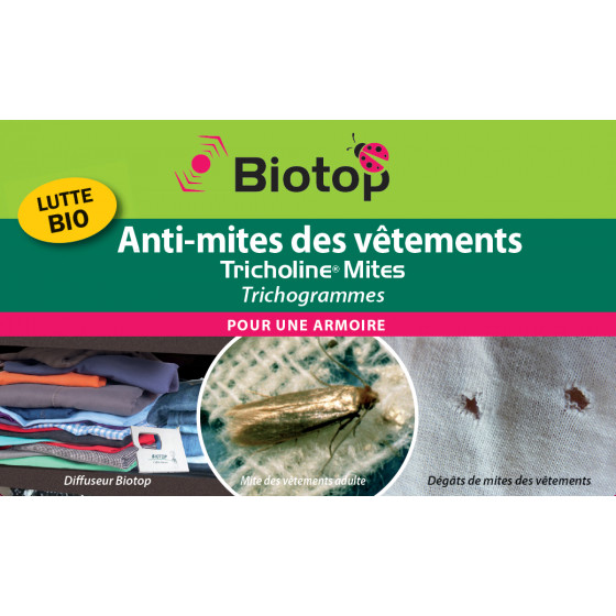 Trichogrammes anti mites vetement