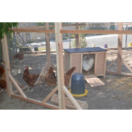 pondoir poulailler en bois français