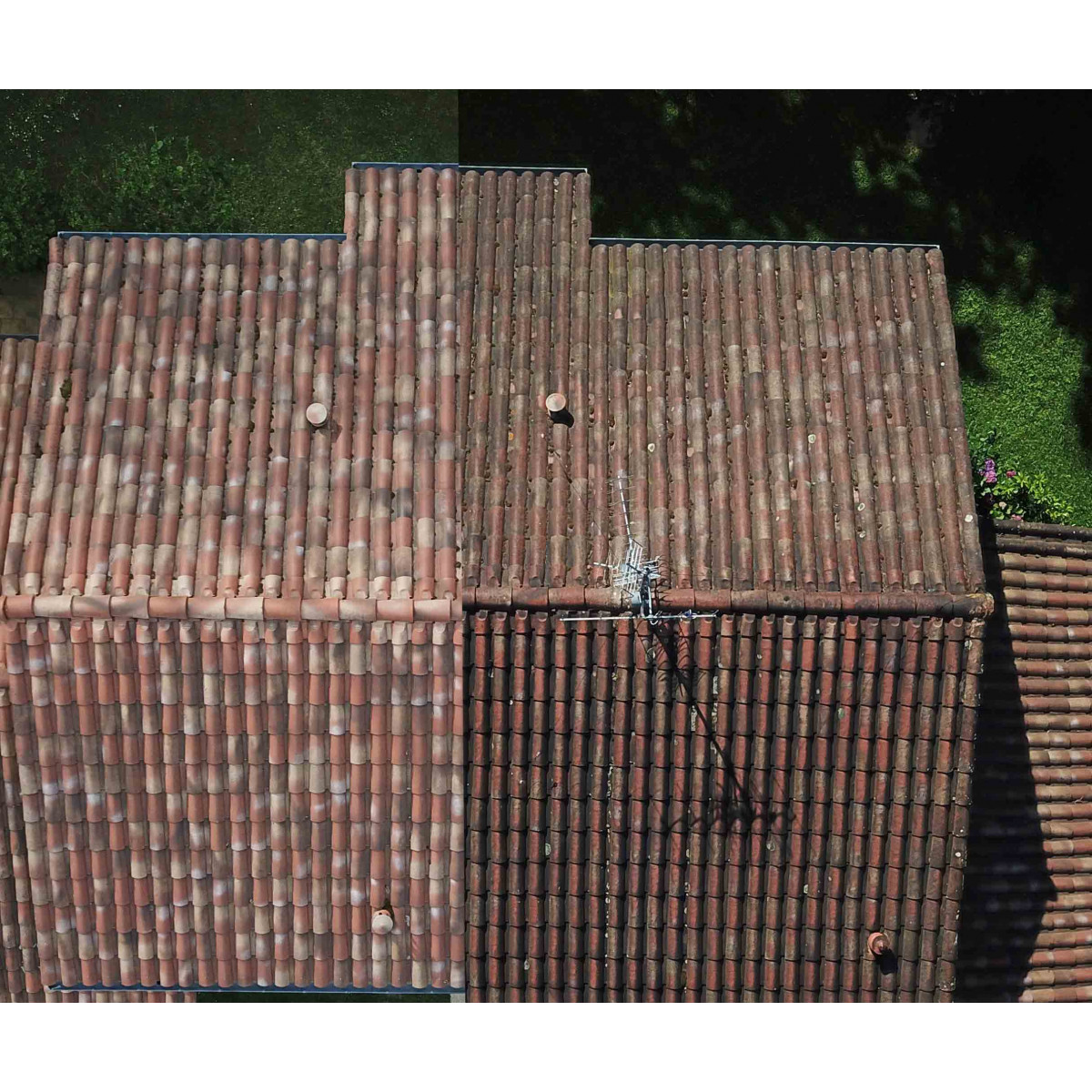 Anti mousse toiture, gazon, facade, terrasse