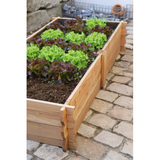 carré potager rectangulaire