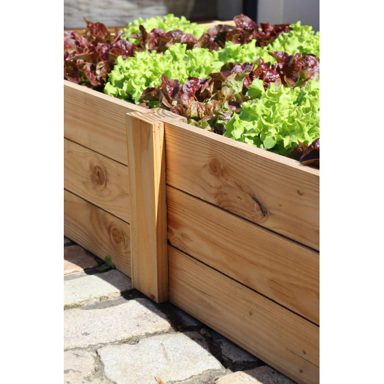 carré potager rectangulaire pour faire pousser salade