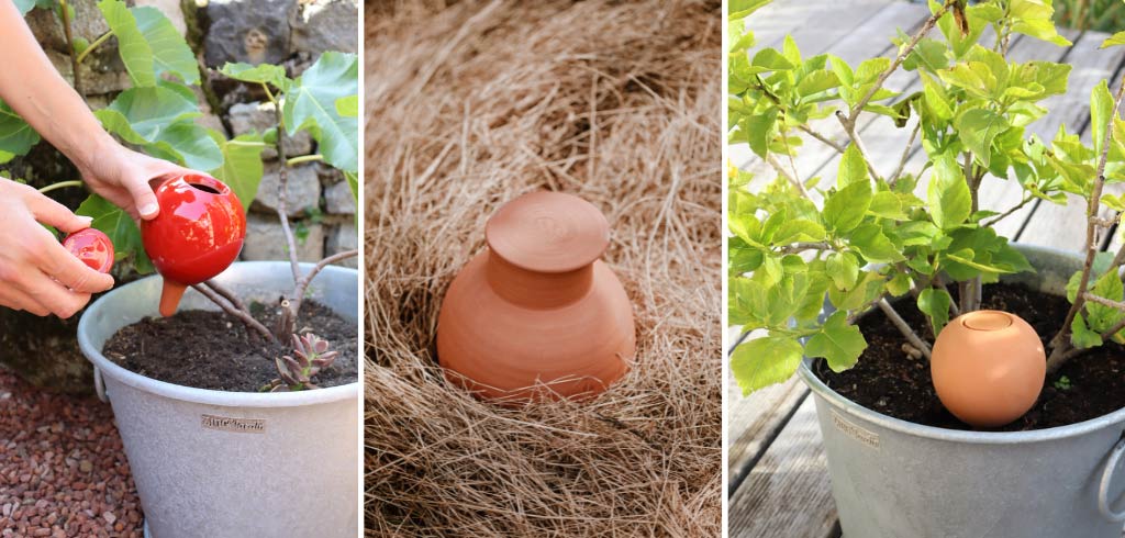 arrosage automatique ollas