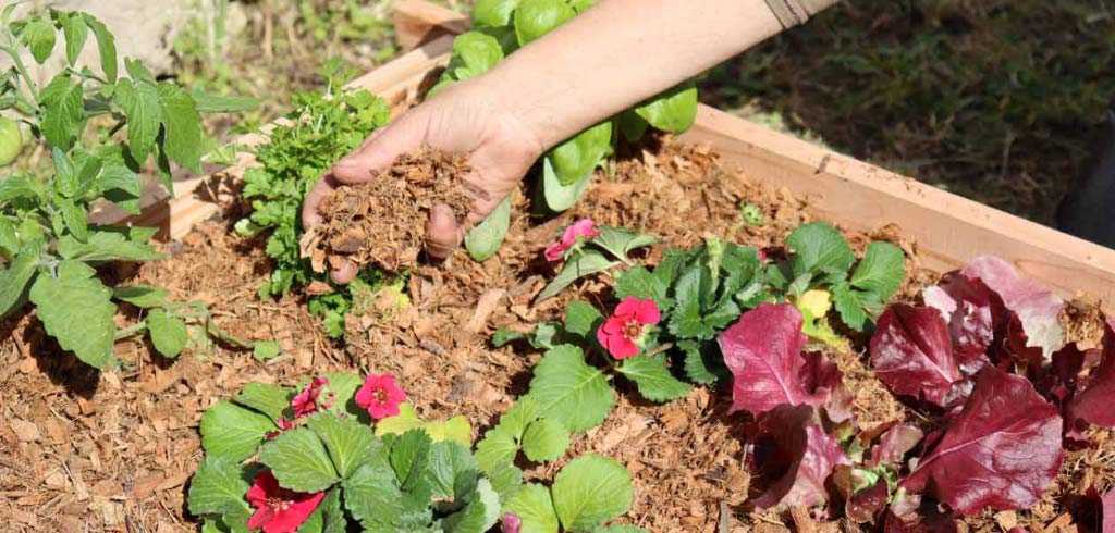 quelle-toile-de-paillage-choisir