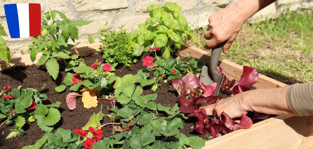 que-planter-dans-un-carre-potager