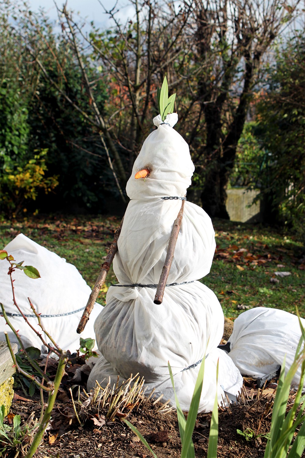 S'occuper des plantes en automne pour passer un hiver serein 5