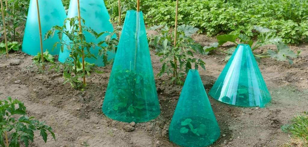 cloche-de-protection