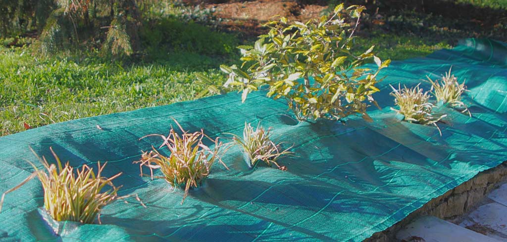 comment-poser-une-toile-de-paillage