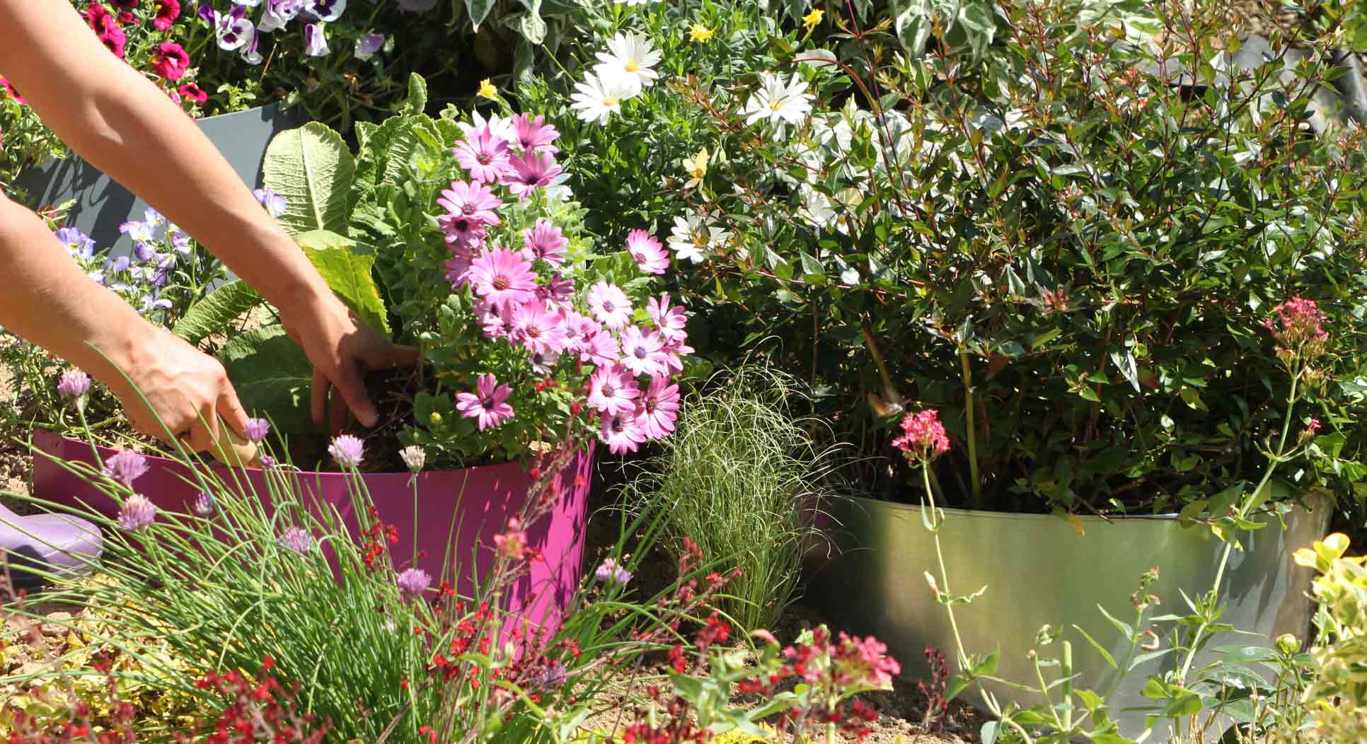 quelle-bordure-de-jardin-pour-retenir-la-terre.jpg
