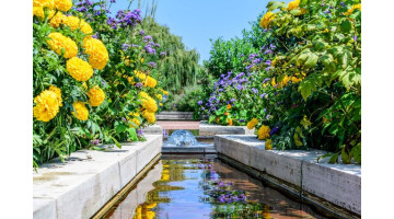 Notre astuce pour garder un sol frais tout l’été au jardin