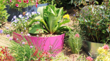 Aménagez un talus en pente avec des bordures de jardin demi lune en acier, signées Jardin et Saisons