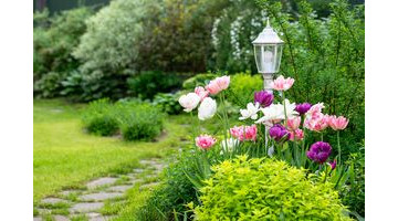 Les erreurs courantes à éviter au printemps dans votre jardin