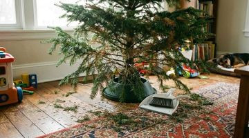 Voici comment garder votre sapin de Noël frais jusqu’à fin décembre
