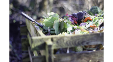 Peut-on brûler des déchets verts dans son jardin ?