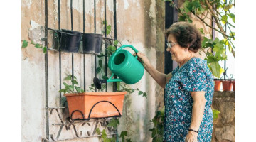 Voici comment arroser facilement vos plantes pendant vos vacances