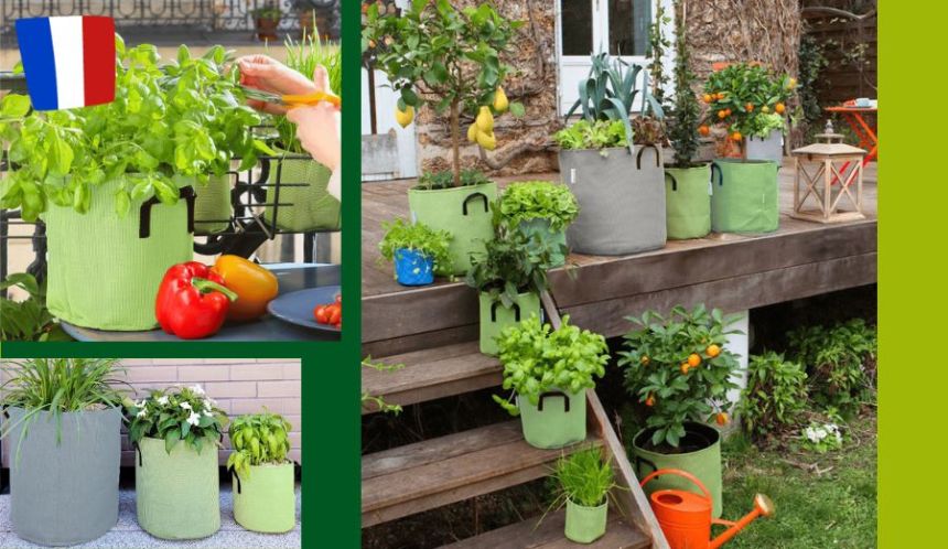 Des pots originaux pour vos plantes 
