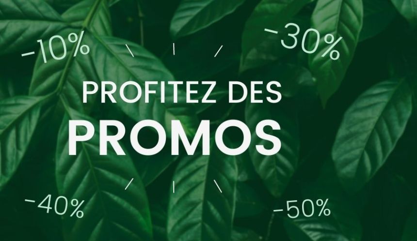 PROMOS d'été ! 