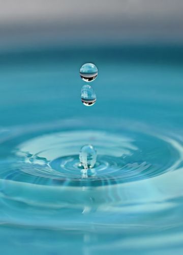 Économisez l'eau avec nos solutions astucieuses 